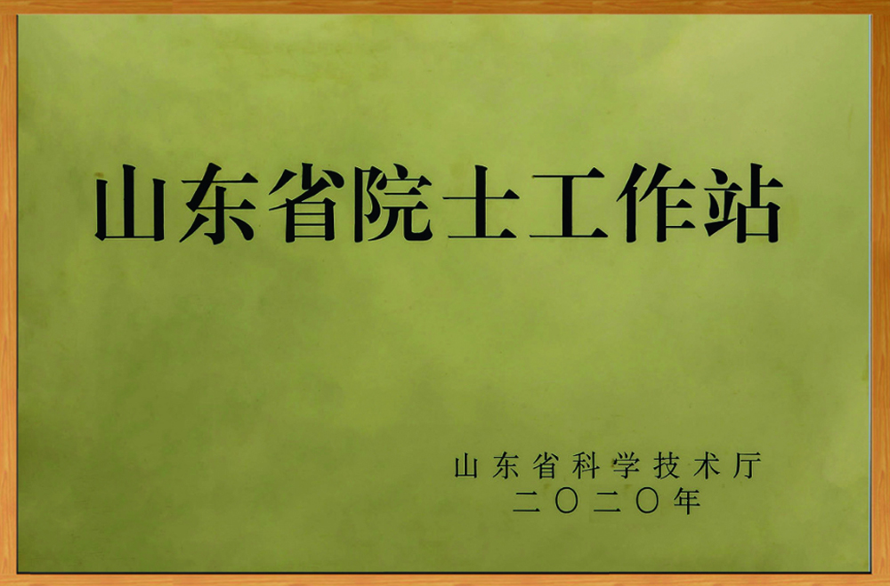 山東省院士工作站